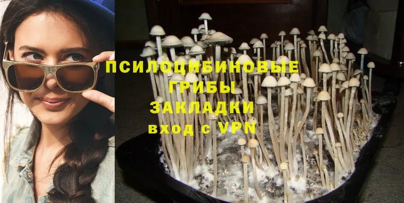 Галлюциногенные грибы MAGIC MUSHROOMS Ельня